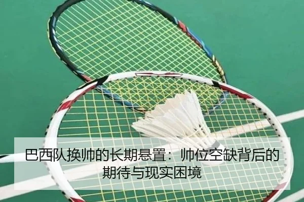 ba-xi-dui-huan-shuai-de-chang-qi-xuan-zhi-shuai-wei-kong-que-bei-hou-de-qi-dai-yu-xian-shi-kun-jing-2-762.jpg